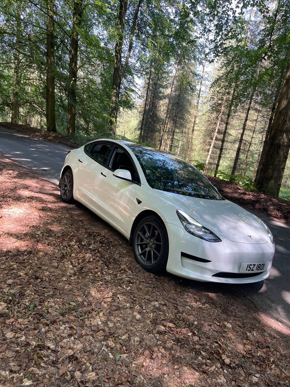 White Tesla Model 3 parked on a forest road at dusk