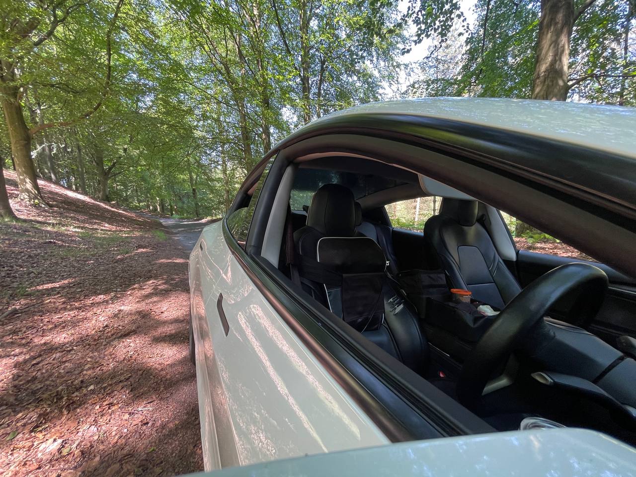 Tesla nature shot