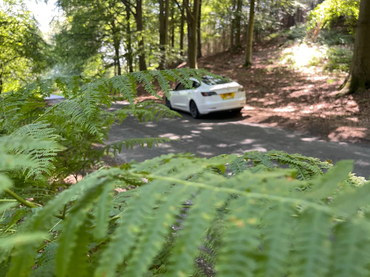 Tesla outdoors