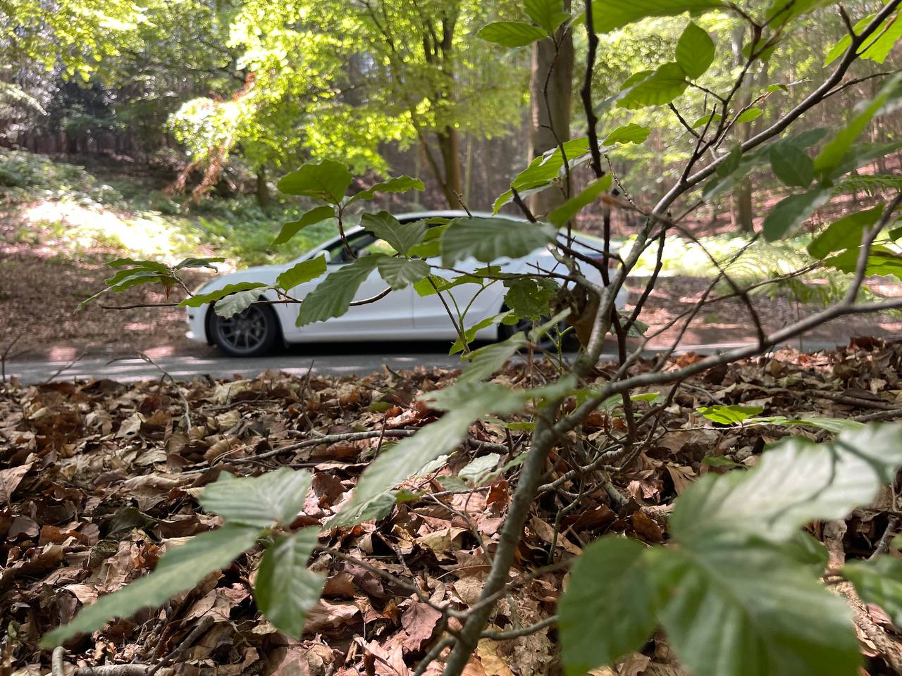 Tesla forest adventure
