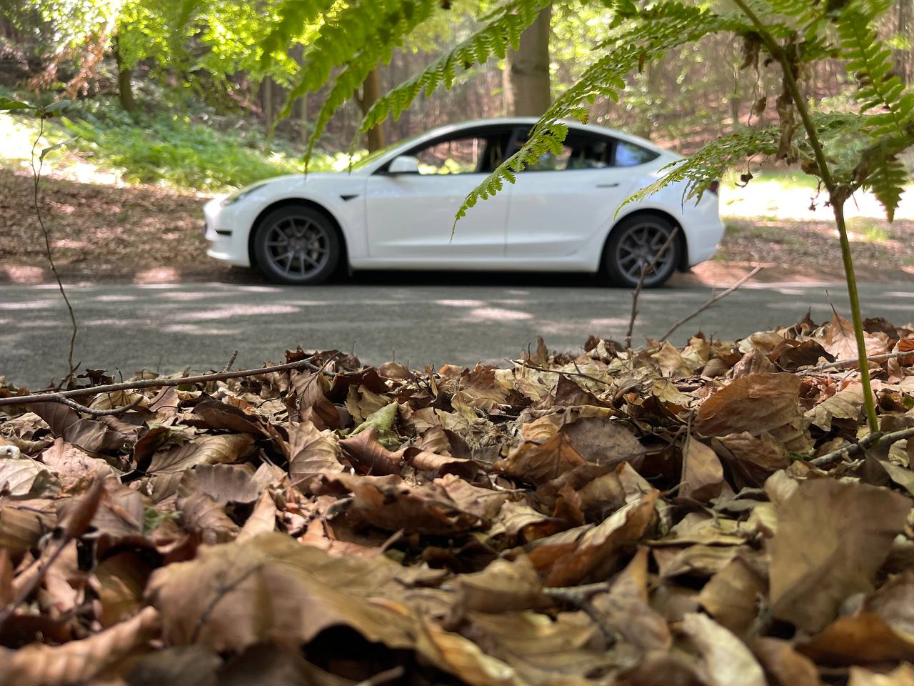 Tesla country lane