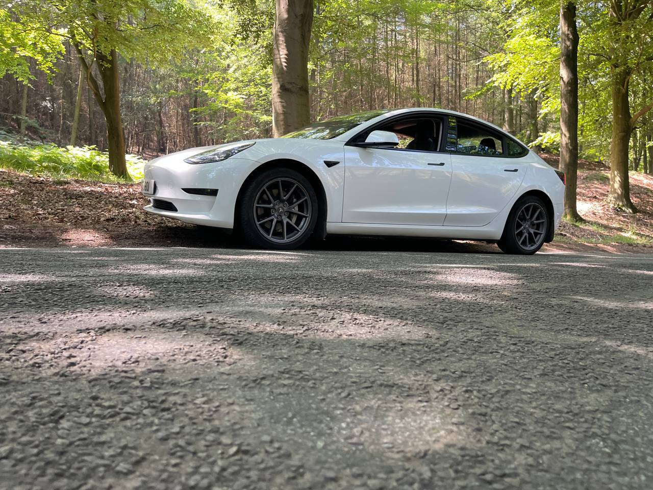 Tesla landscape